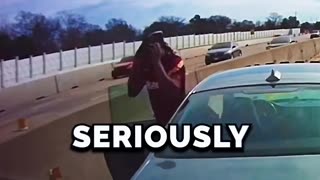 Chimp out on freeway