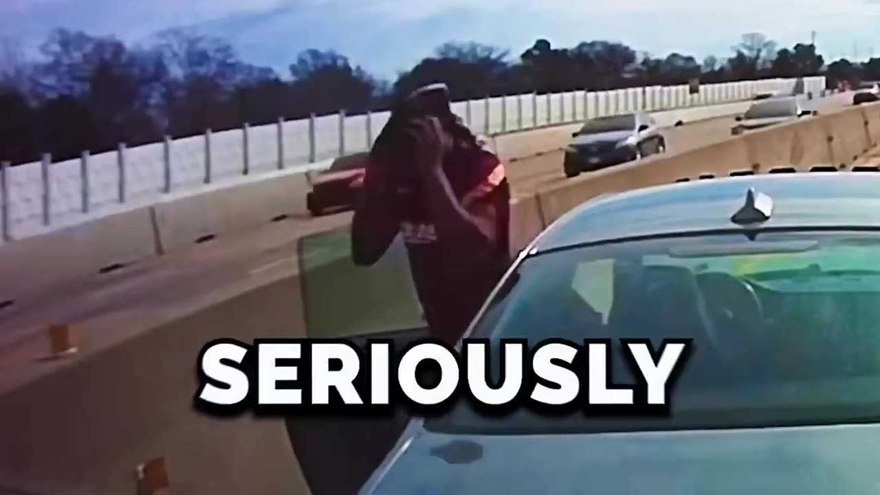 Chimp out on freeway