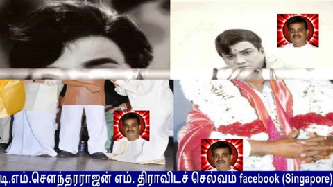 Legend M. S. Viswanathan By M. Thiravidaselvan (singapore) Vol 111 Thrilling Thematic Tunes 10