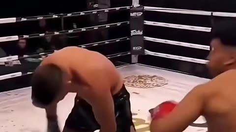 Funny knockouts. "boxing humor"