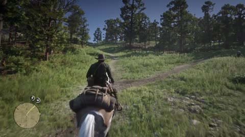 Red Dead Redemption 2 20549758975489758495784594859485948908495849 ostia puta en ohio 666