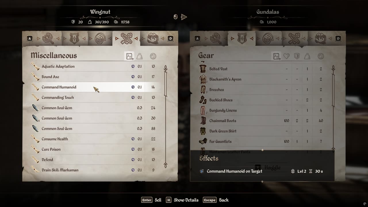 Oblivion remastered Selling all my loot then jump into another Oblivion Gate but don't go