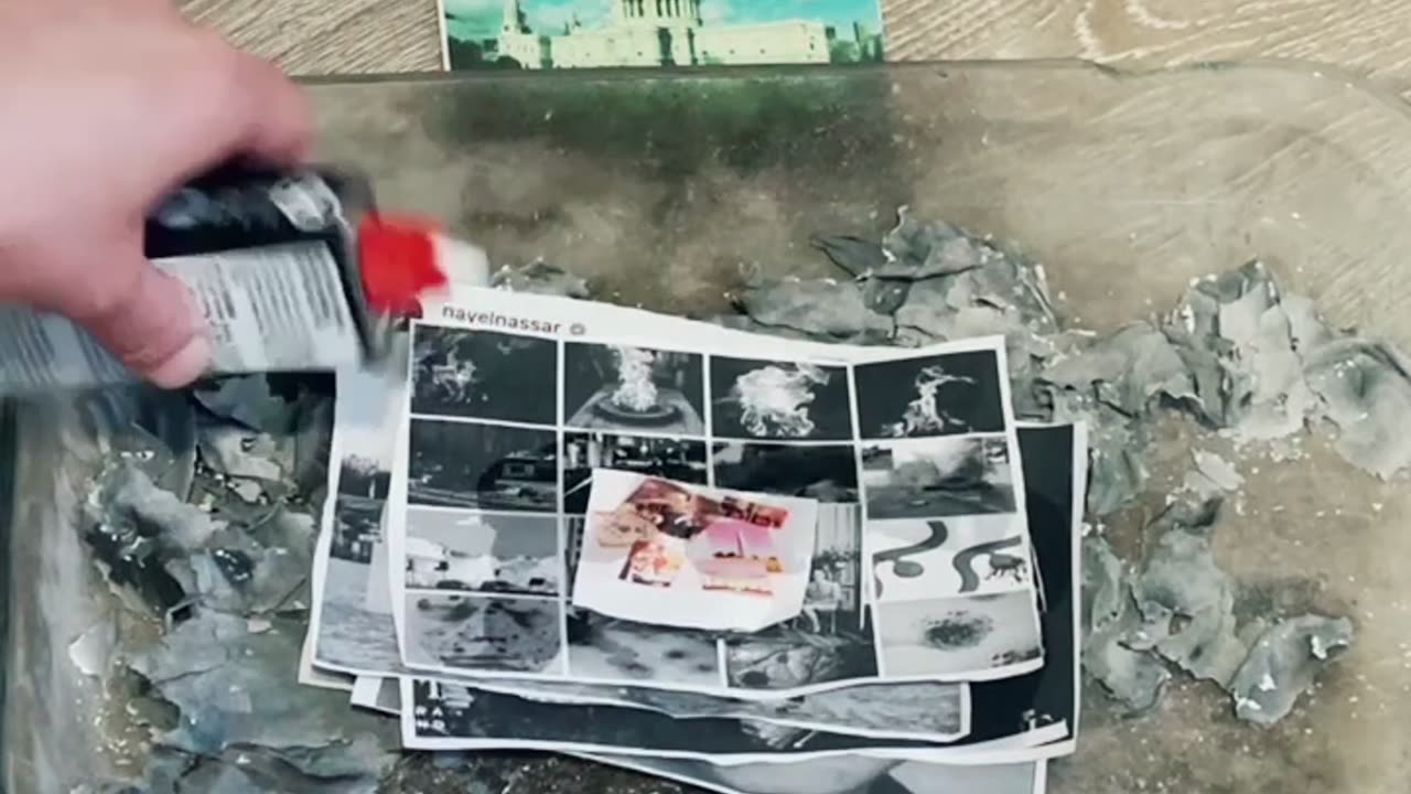 Tim Rifat TikTok Videos