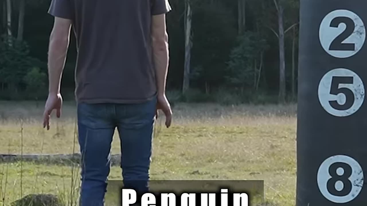 How Animals Fight. Part 2 (with emojis)