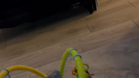 Baby Pulls a Fast One