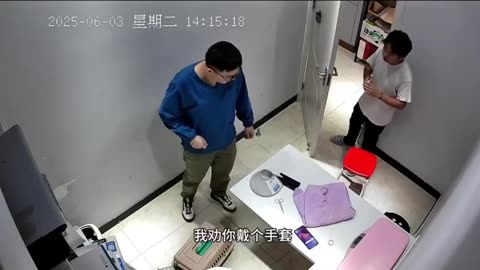 Angry cat takes revenge on veterinarian