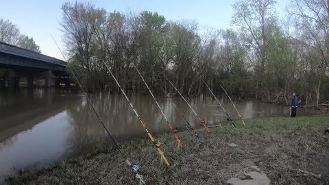 The river is salty with all this rain!