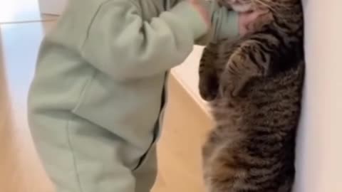 Cat Scolding Child Moment