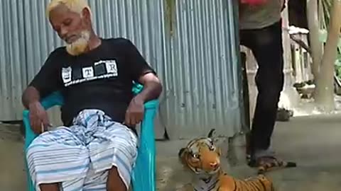 Shocking: TOP FUNNIEST FAKE TIGER PRANK ON GRANDPA! | SAGOR BHUYAN