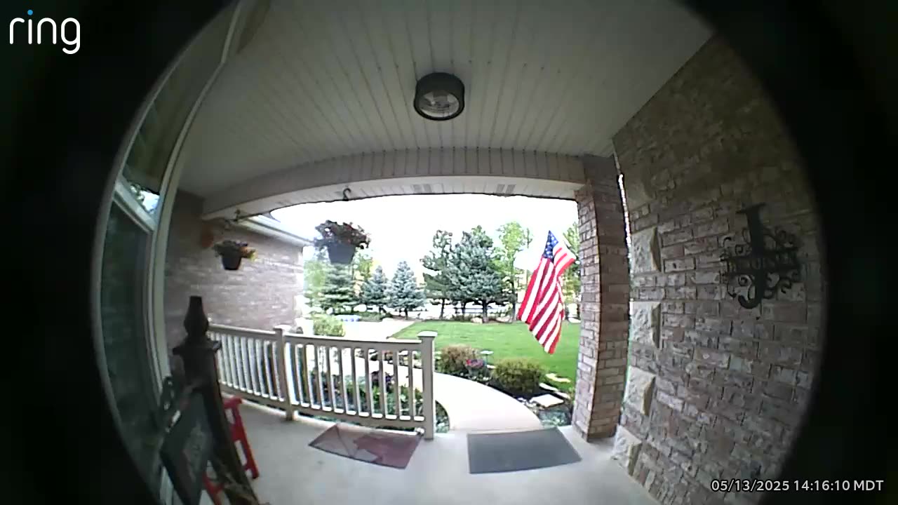 Patriotic Delivery Driver Fixes Tangled Flag