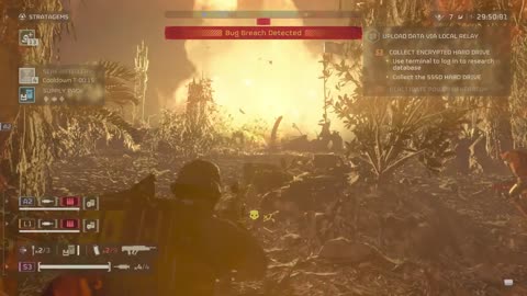 Regrets, I've Had a Few...