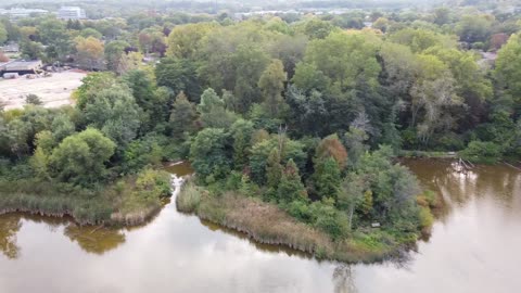 Neighborhood Pond from a Drone and the Shore
