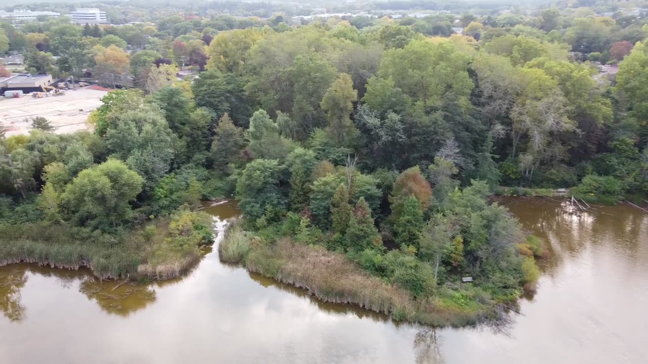 Neighborhood Pond from a Drone and the Shore