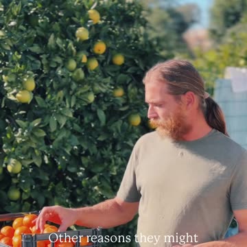 Jonas washing the oranges 🍊