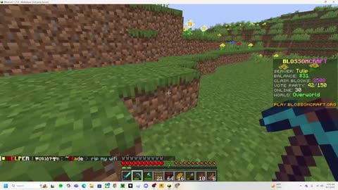 playing blossomcraft