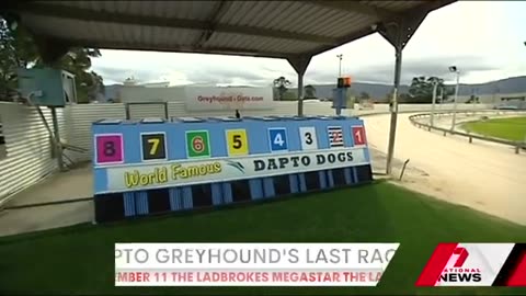 End of an era for Dapto Greyhound Club