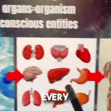 THE SECRET POWER OF CLOTHING, METALS & FREQUENCY 🧲👁️