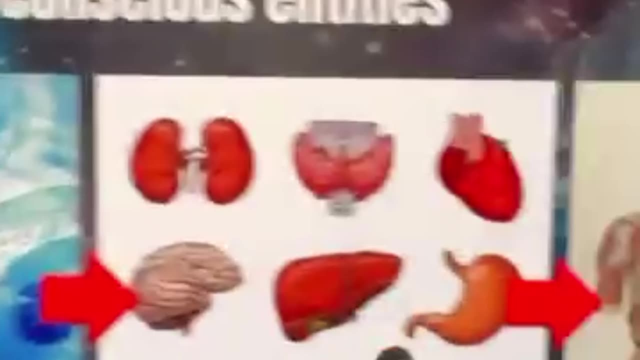 THE SECRET POWER OF CLOTHING, METALS & FREQUENCY 🧲👁️