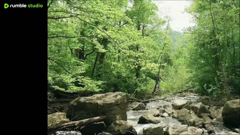 test stream