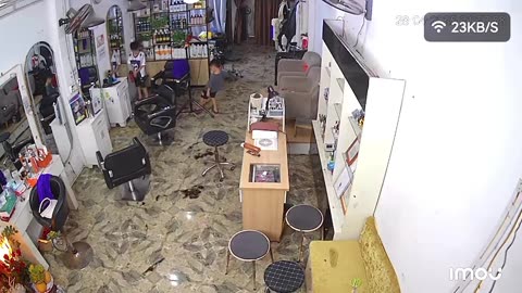 2 bamboos playing in the room