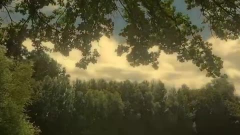 Lost in the words song shorts.. #song