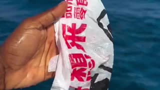 dude picks up a piece of plastic in the ocean and then gets a once-in-a-lifetime shot