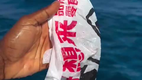 dude picks up a piece of plastic in the ocean and then gets a once-in-a-lifetime shot