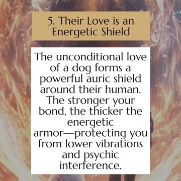 5 spiritual superpowers of Dogs