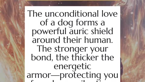 5 spiritual superpowers of Dogs