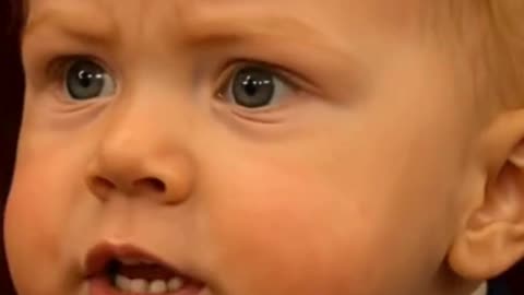 Baby Trump and Baby Joe Rogan