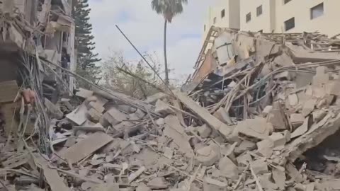 Scenes From Central Israel
