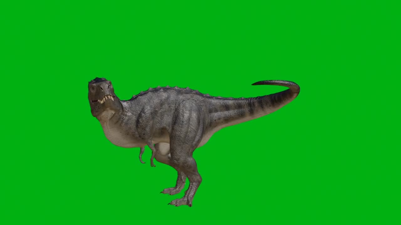 Dinosaur, trex, reptile