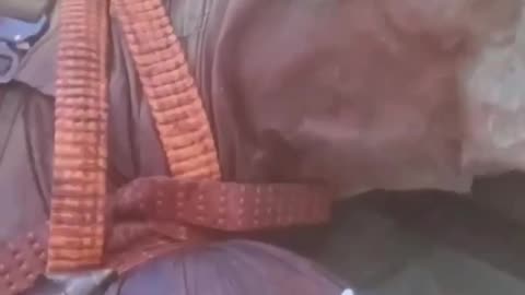 Russians Evacuate Wounded Inside Trash Can Attached to Motorcycle
