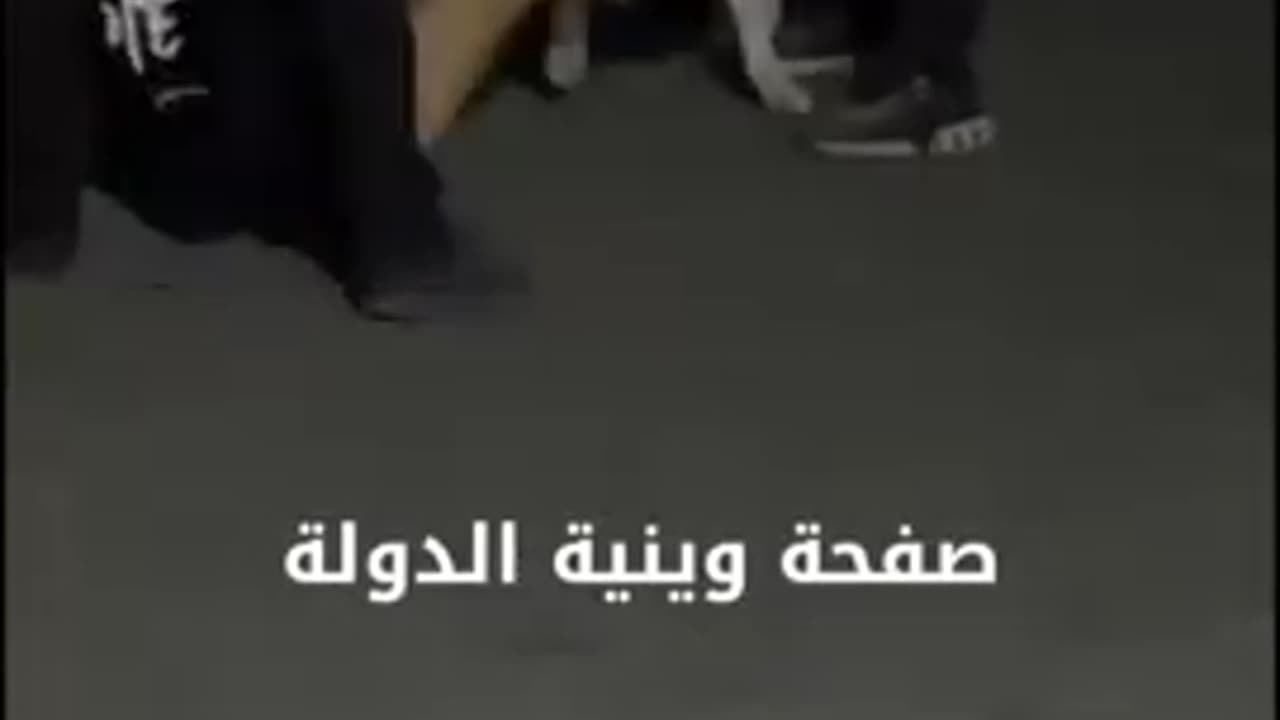 Pitbull bit off a child's testicle - ME