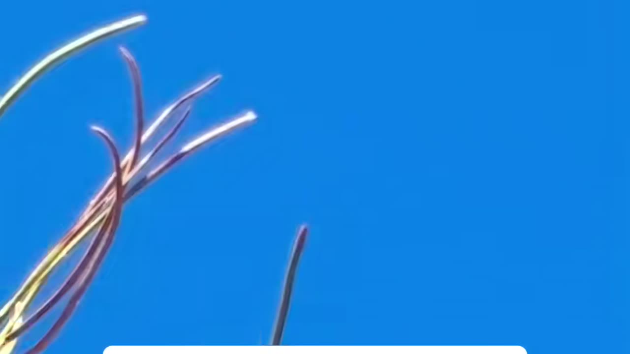 👁️🛸 Quick UFO Sighting in Las Vegas - Did You See That? | TheTruthAbove