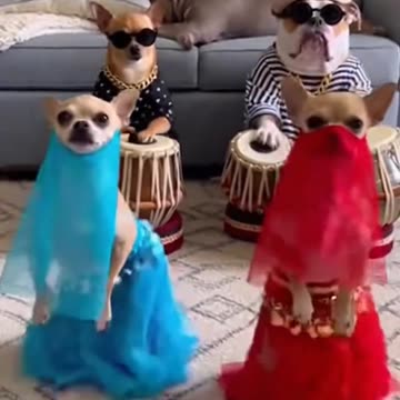 Now that’s funny right there