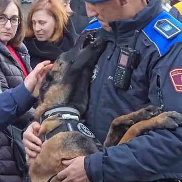 Love your job and you will never have to work