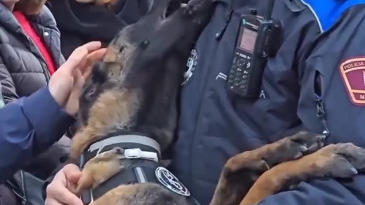 Love your job and you will never have to work