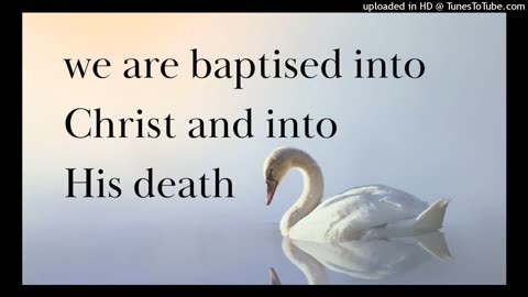 we are baptised into Christ and into His death