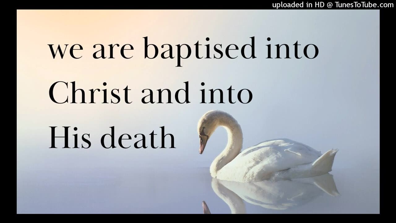 we are baptised into Christ and into His death