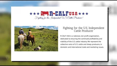 Meat: The Truth About the American Cattle Industry