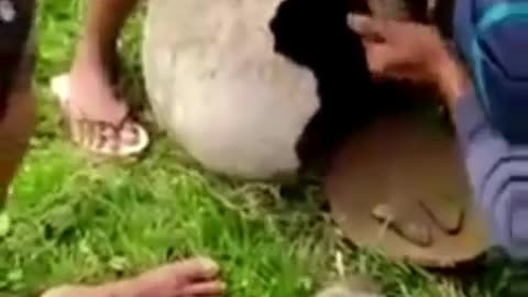 Random behavior of funny people goes viral 😁😁