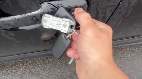 🚗🤔 What's the Car Doing That's Got Everyone Confused? | FunFM