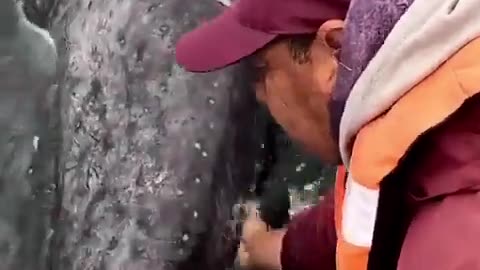 🤯🌊 You Won't Believe This Ocean Boop Fail! | FunFM