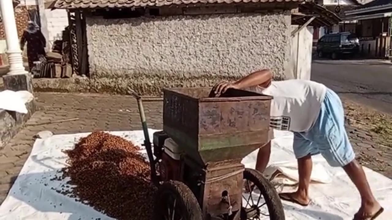 Grinding Coffee Beans Fresh for Maximum Flavor