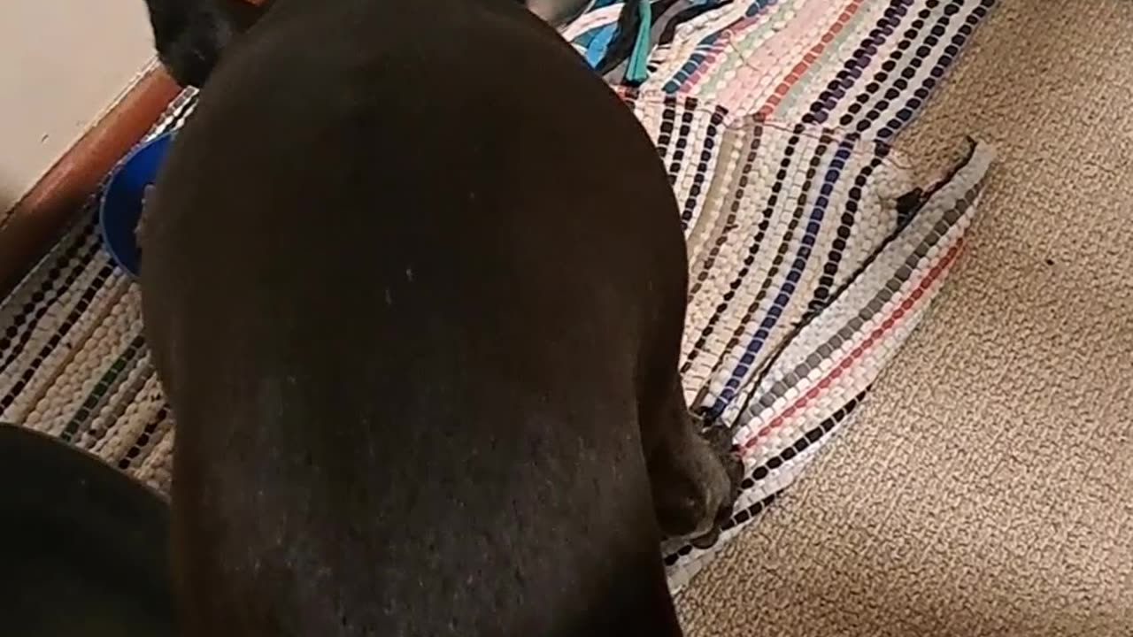 My morning Routine
