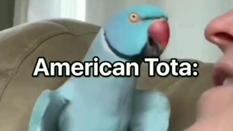 Meme
