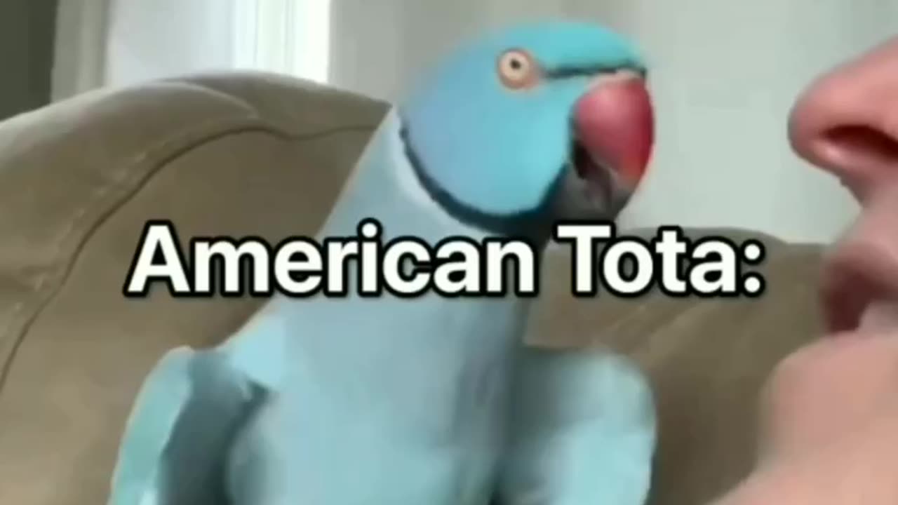 Meme