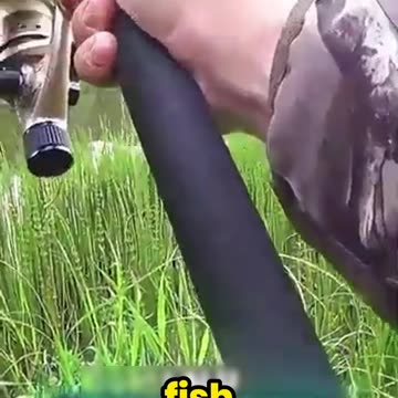 This Giant Fish Took 10 Minutes to Reel In—You Won't Believe What Happens Next!