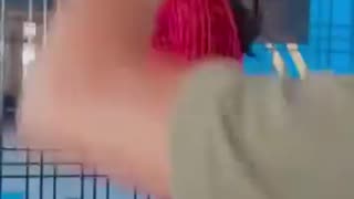 😂💡 You Won't Believe This Clever Solution! | FunFM